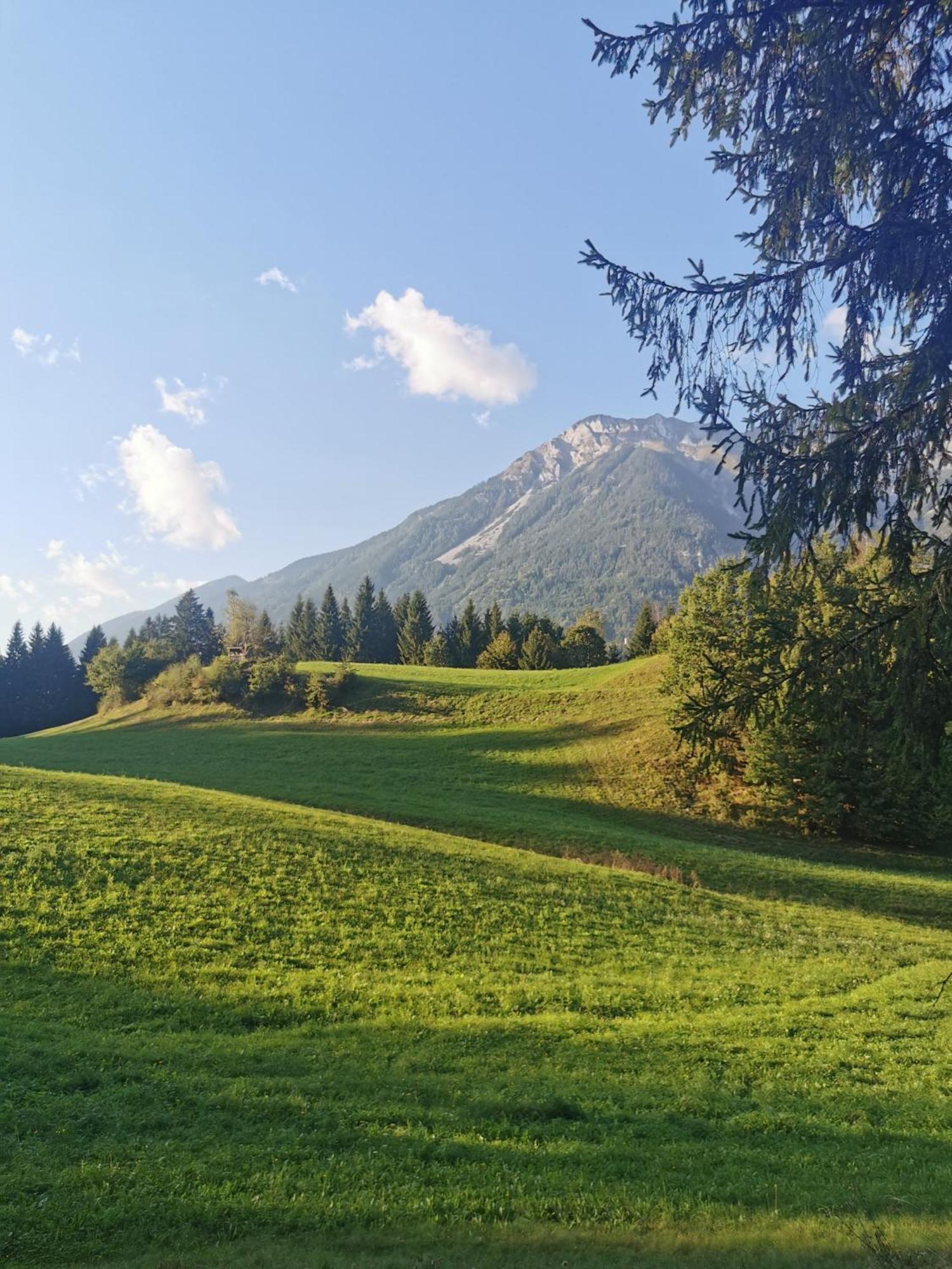 Haus Seewald Passriach Экстерьер фото